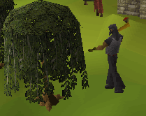 you can earn money by woodcutting as soon as you reach level 15 because then you can chop down the expensive trees